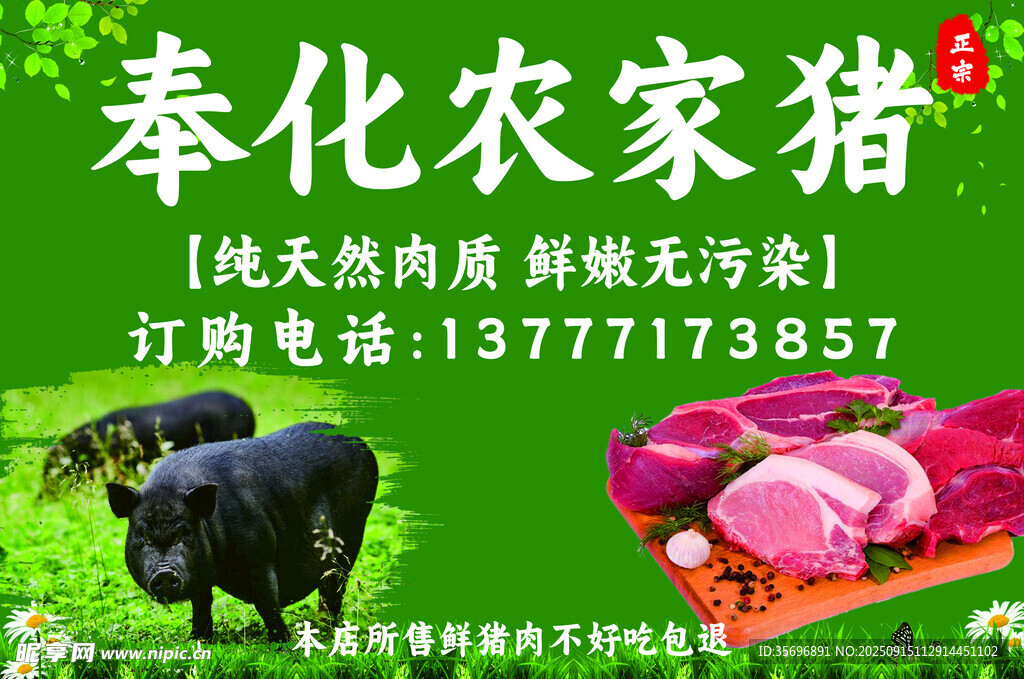 奉化農(nóng)家豬 純天然好肉質(zhì)