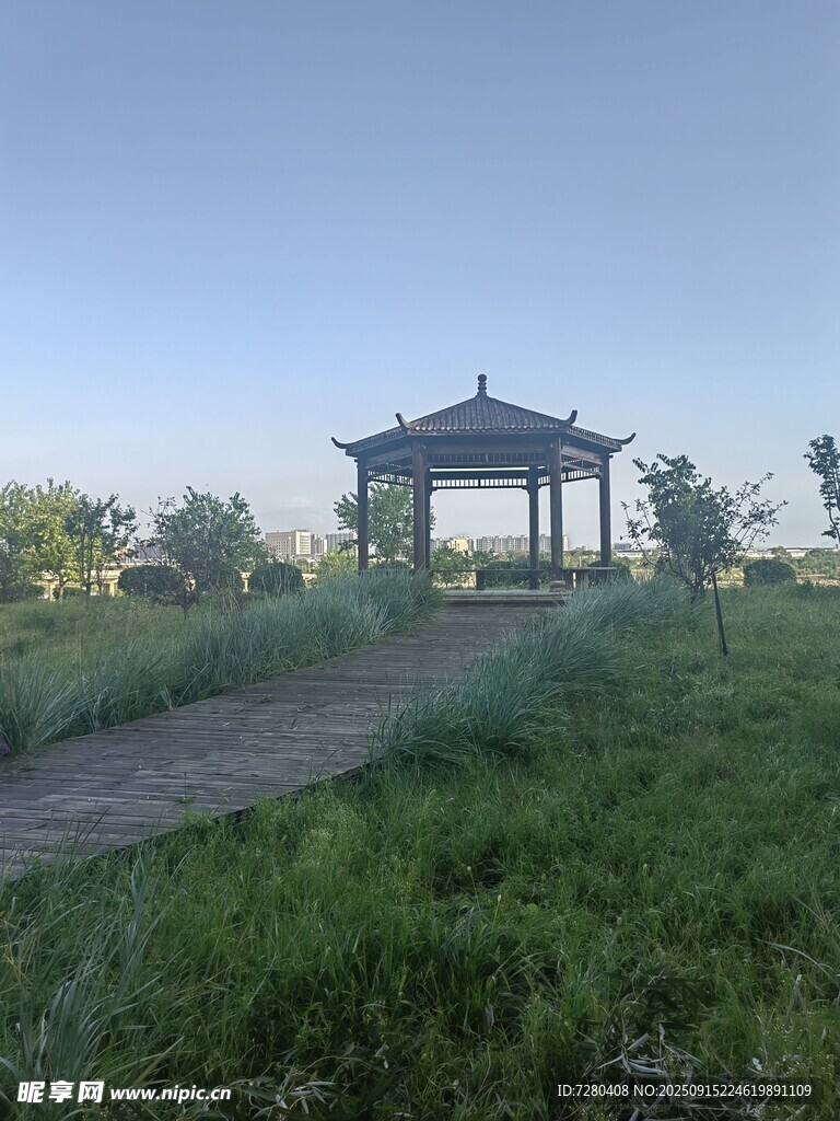郊外涼亭旁的靜謐草地