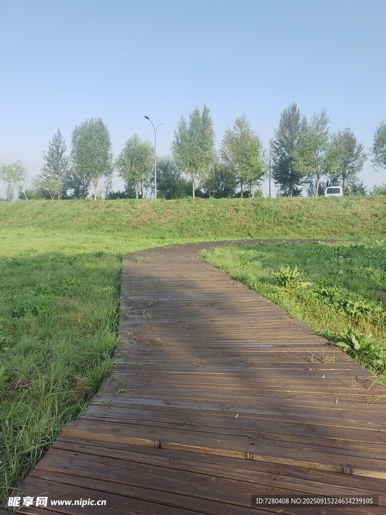 林間木棧道綠意盎然景
