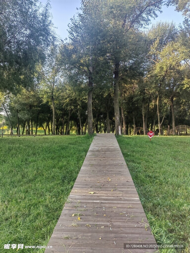 林間木棧道綠意盎然景致