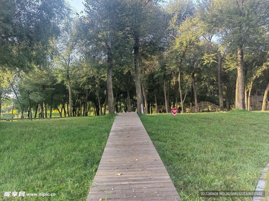 林間木棧道漫步好去處