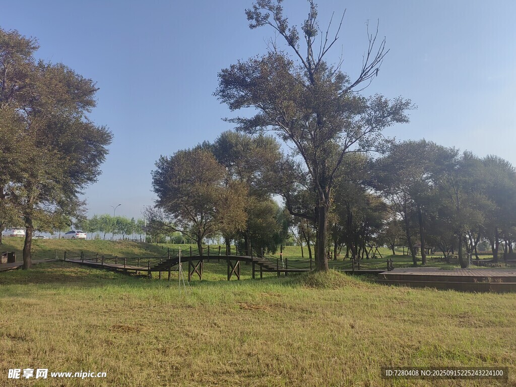 郊外開闊草地與樹木景觀