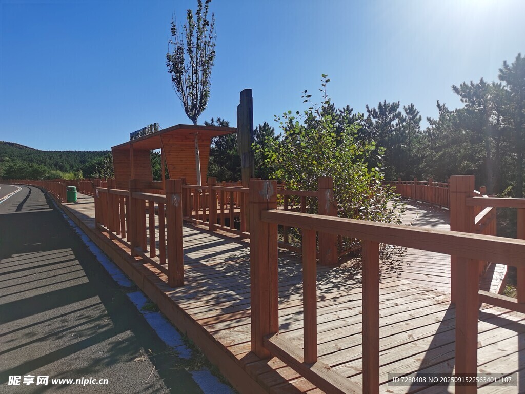 木質(zhì)棧道旁的戶外景觀