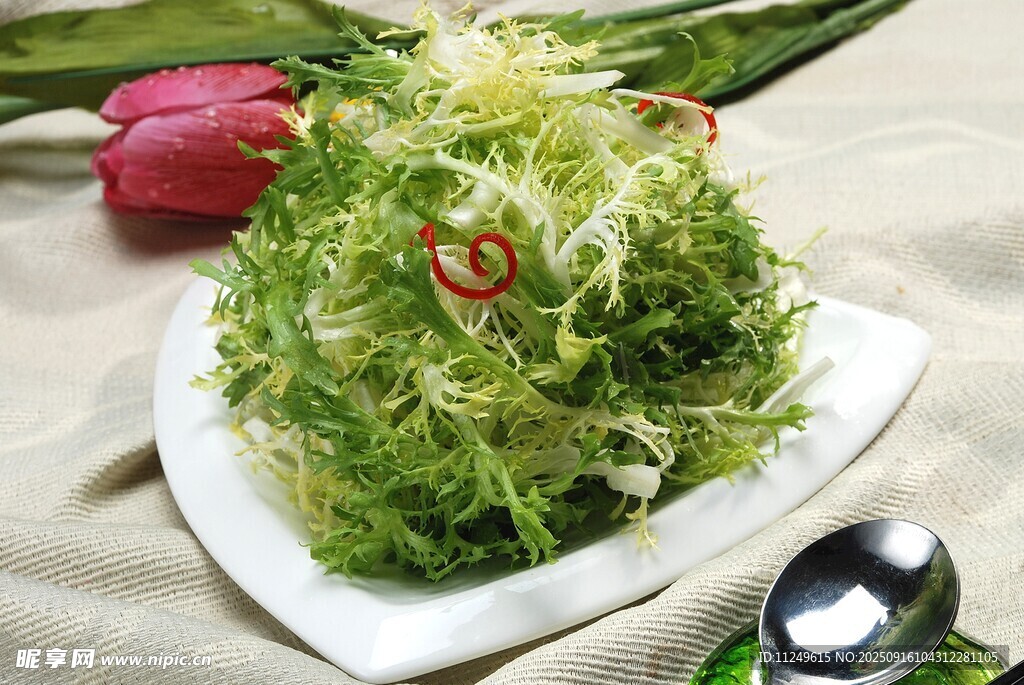 生熗苦菊