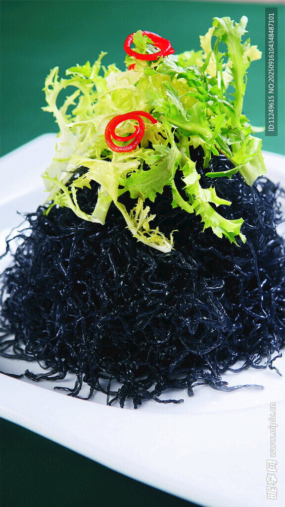 苦菊海發(fā)藻