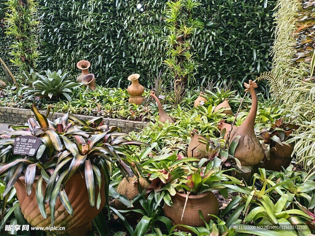 室內(nèi)綠植景觀 生機盎然