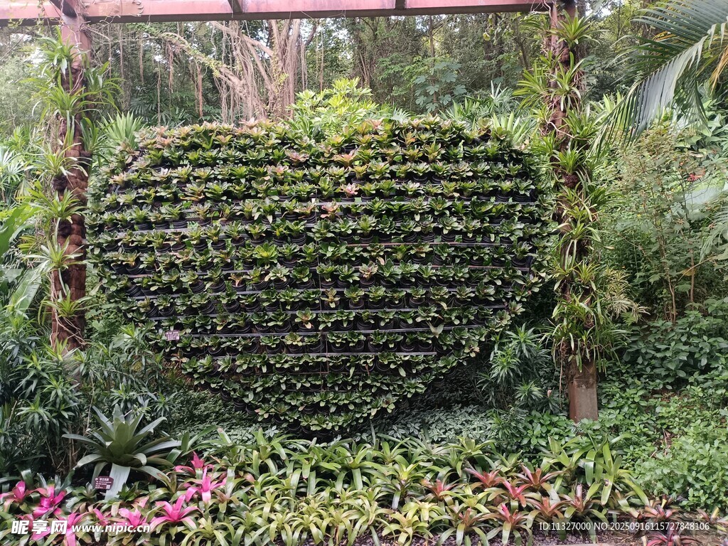 綠植墻景觀 生機盎然