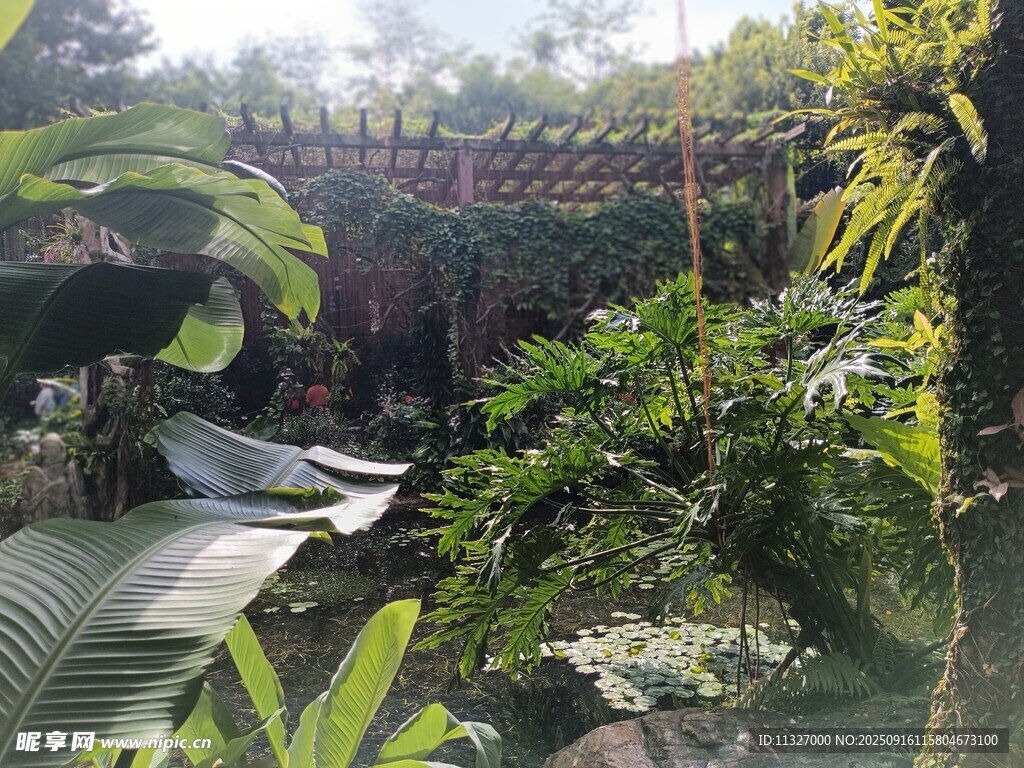 自然綠植環(huán)繞的靜謐角落
