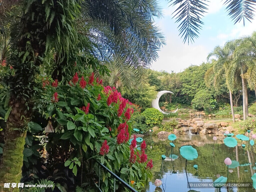 熱帶花園中的靜謐池塘景觀