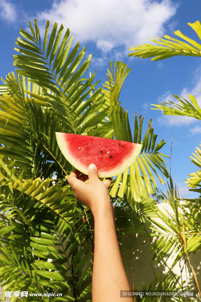 夏日手舉西瓜于綠植間