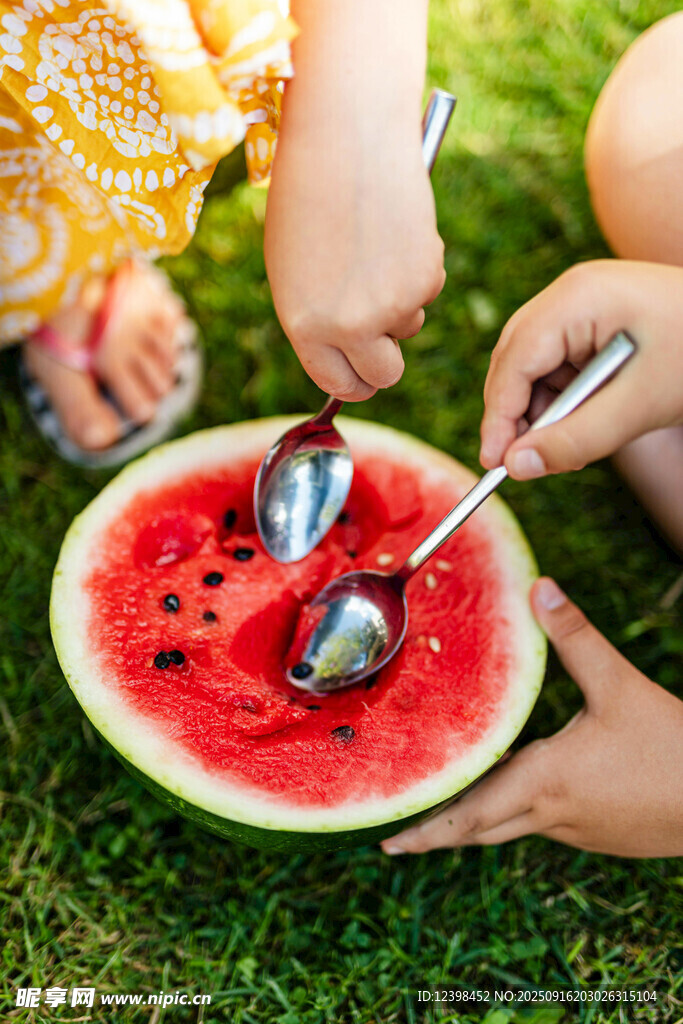 夏日草地共享美味西瓜