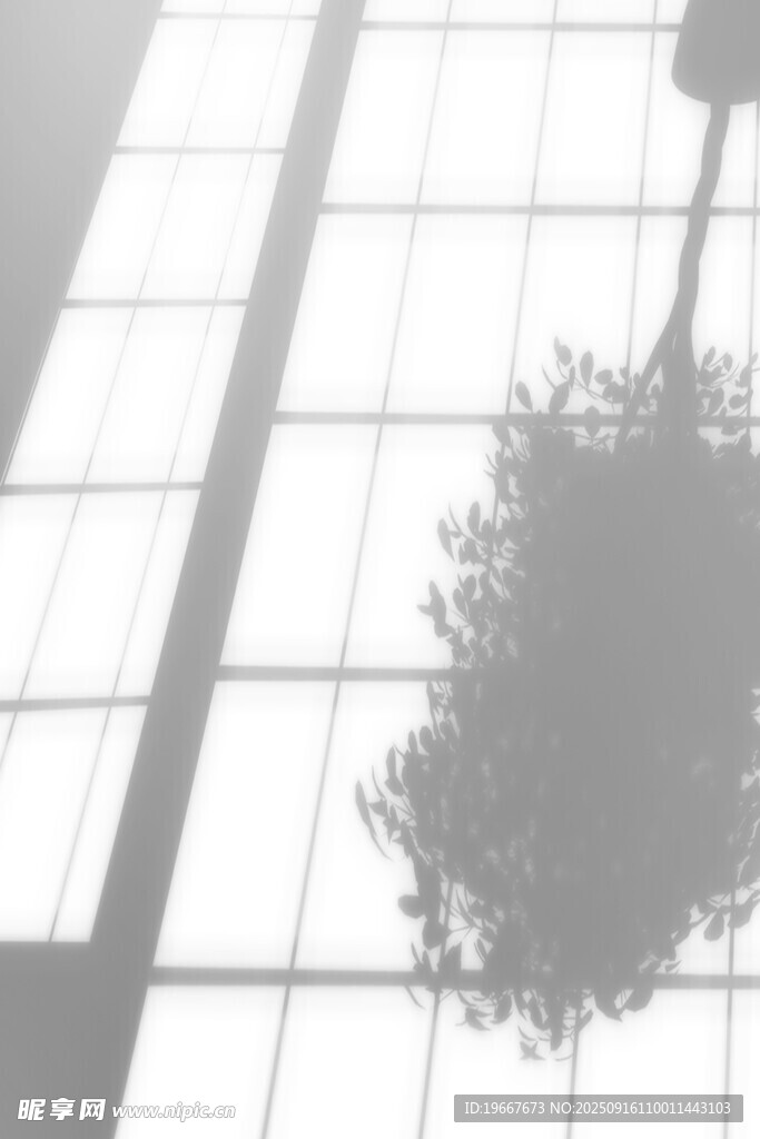 室內(nèi)綠植與玻璃幕墻景觀