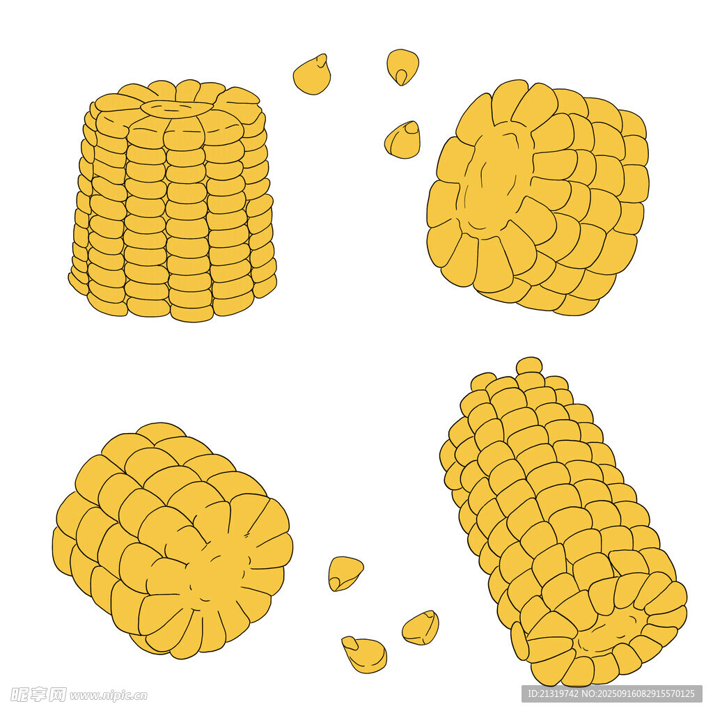 玉米插畫素材