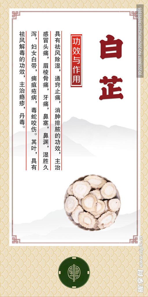 中藥材 白芷展示