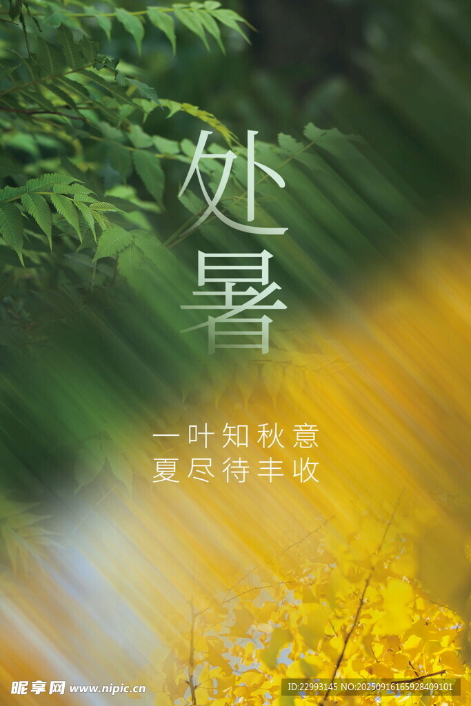 處暑
