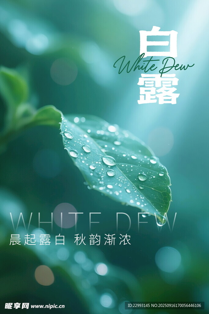白露