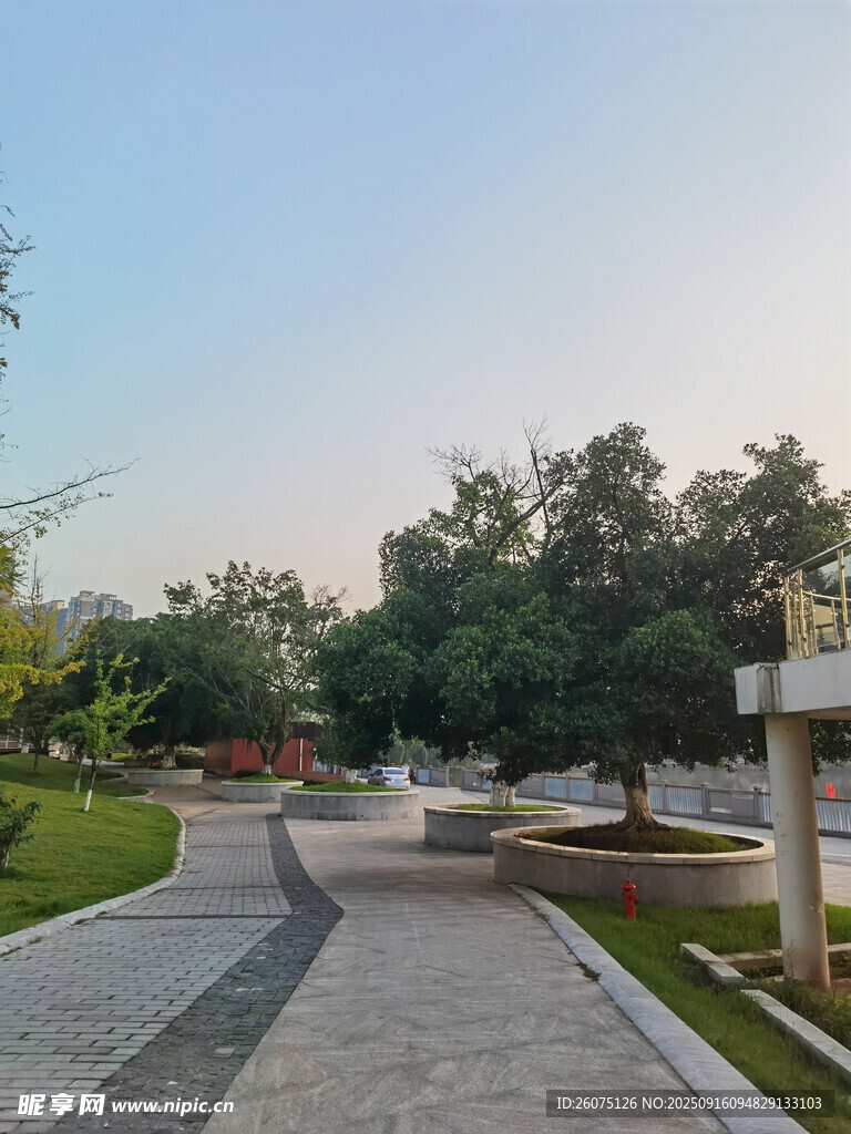 公園中的寧靜步道景觀