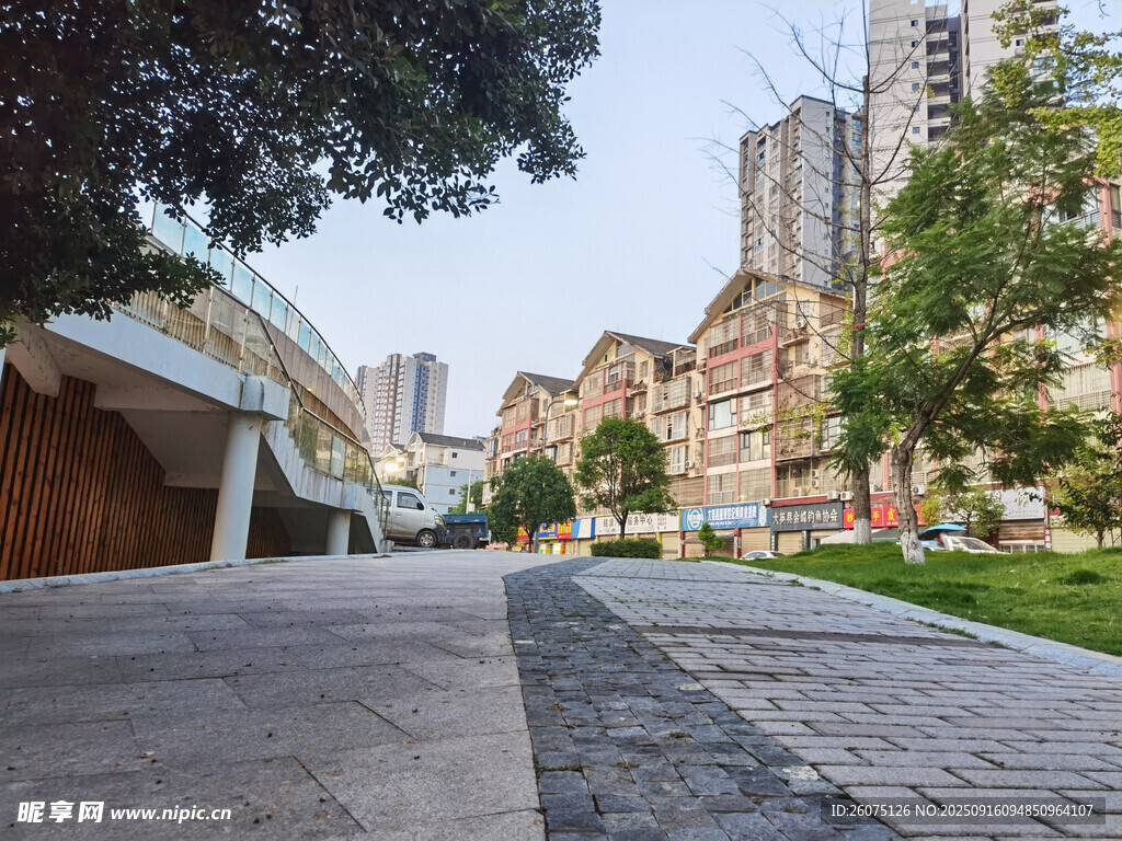 城市街道旁的建筑與綠植