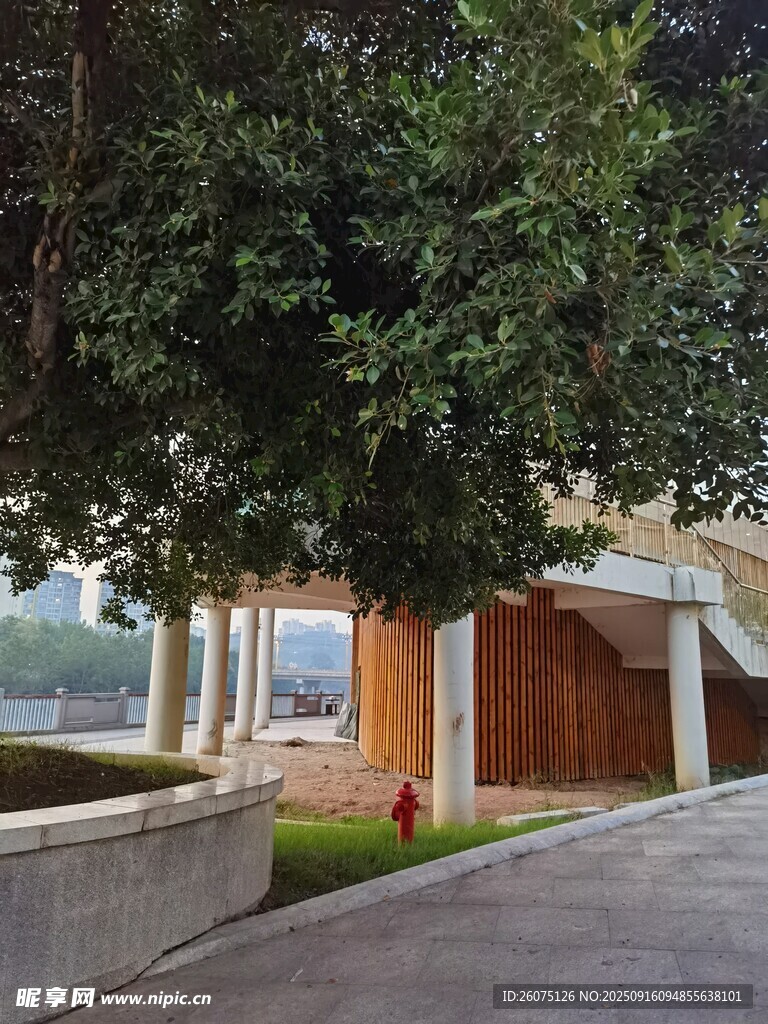 庭院綠植環(huán)繞的建筑一角