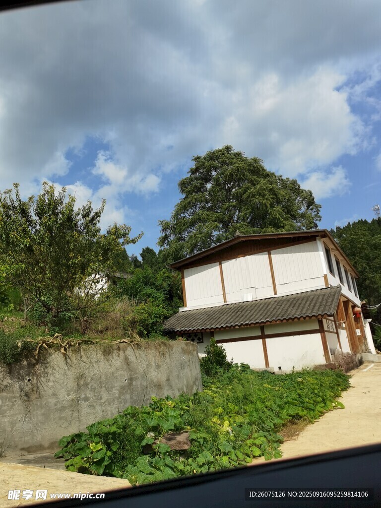 鄉(xiāng)村小屋旁的綠植與藍(lán)天