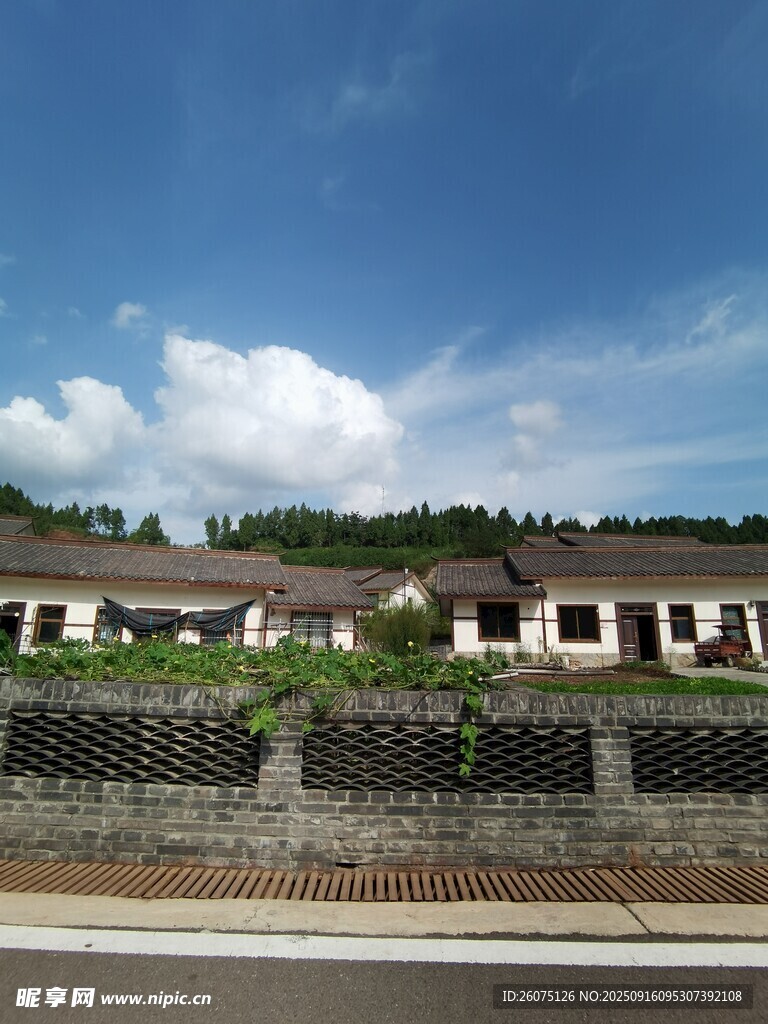 鄉(xiāng)村公路旁的民居風(fēng)景