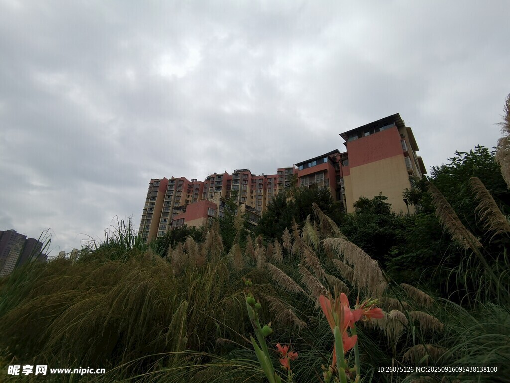 山坡上的古樸建筑群