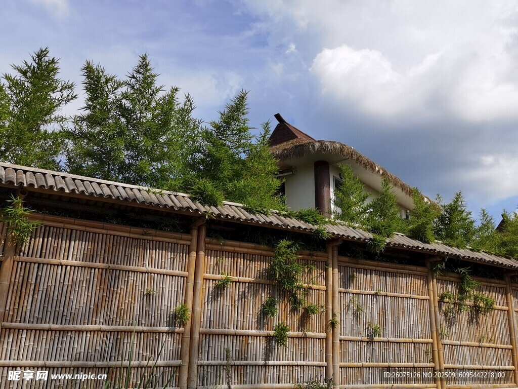 古樸木墻旁的山林景致