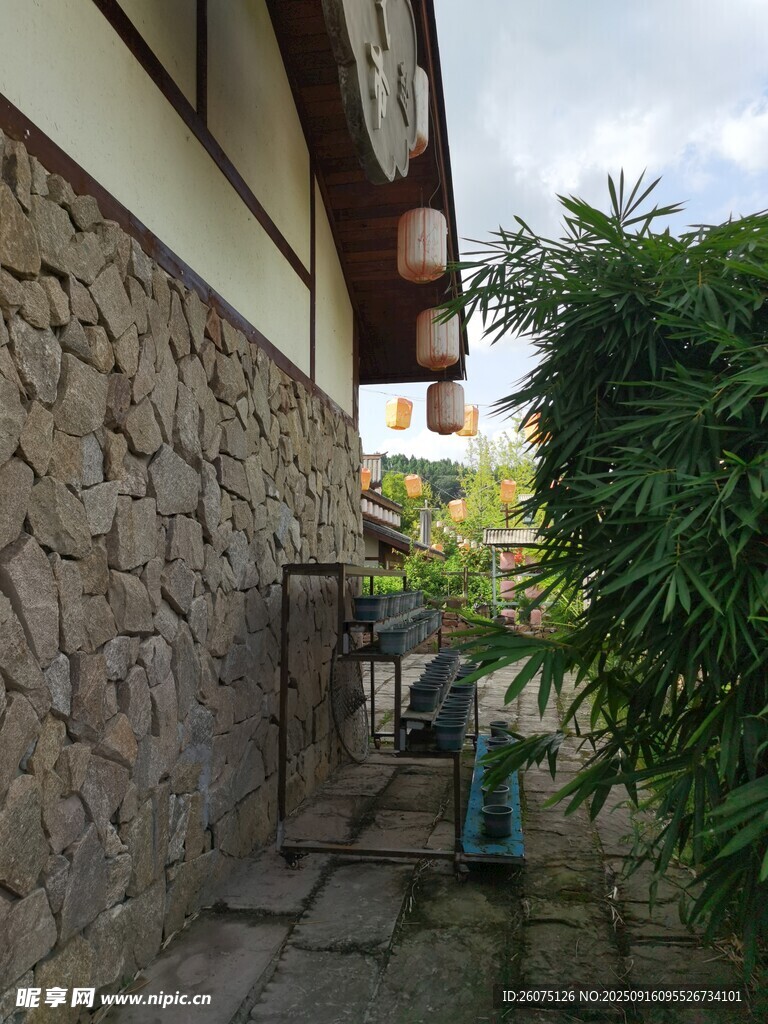 中式庭院墻邊綠植景致