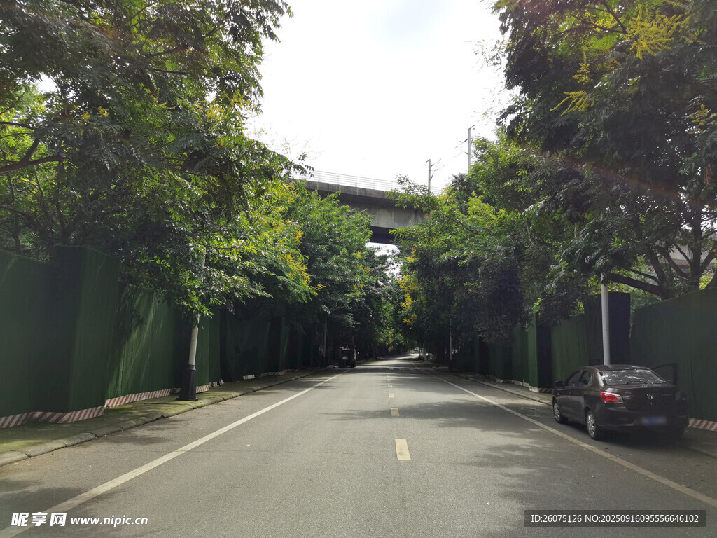 綠樹環(huán)繞的靜謐道路