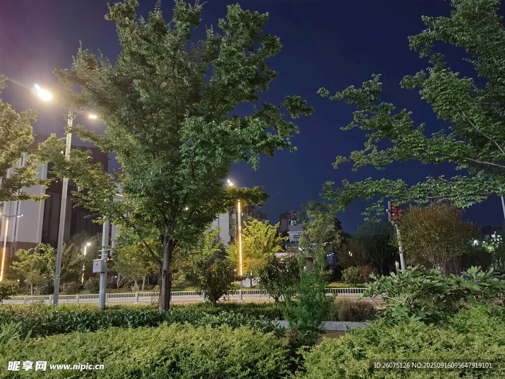 夜晚公園綠植與照明景觀