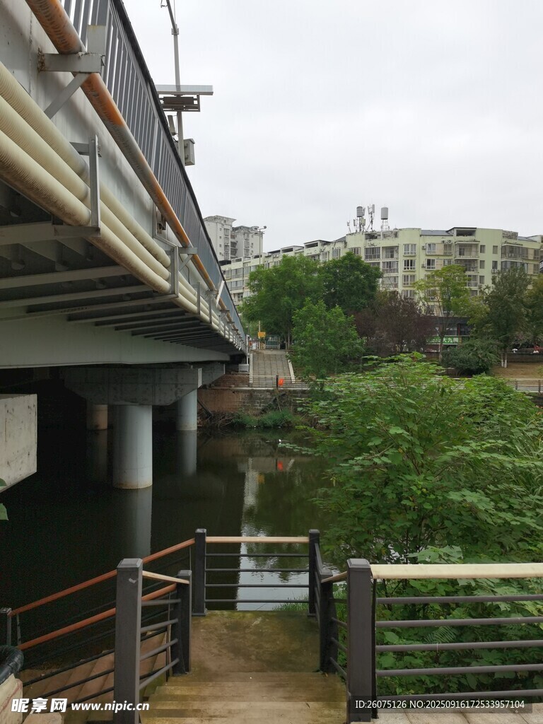 河畔橋梁與綠植景觀