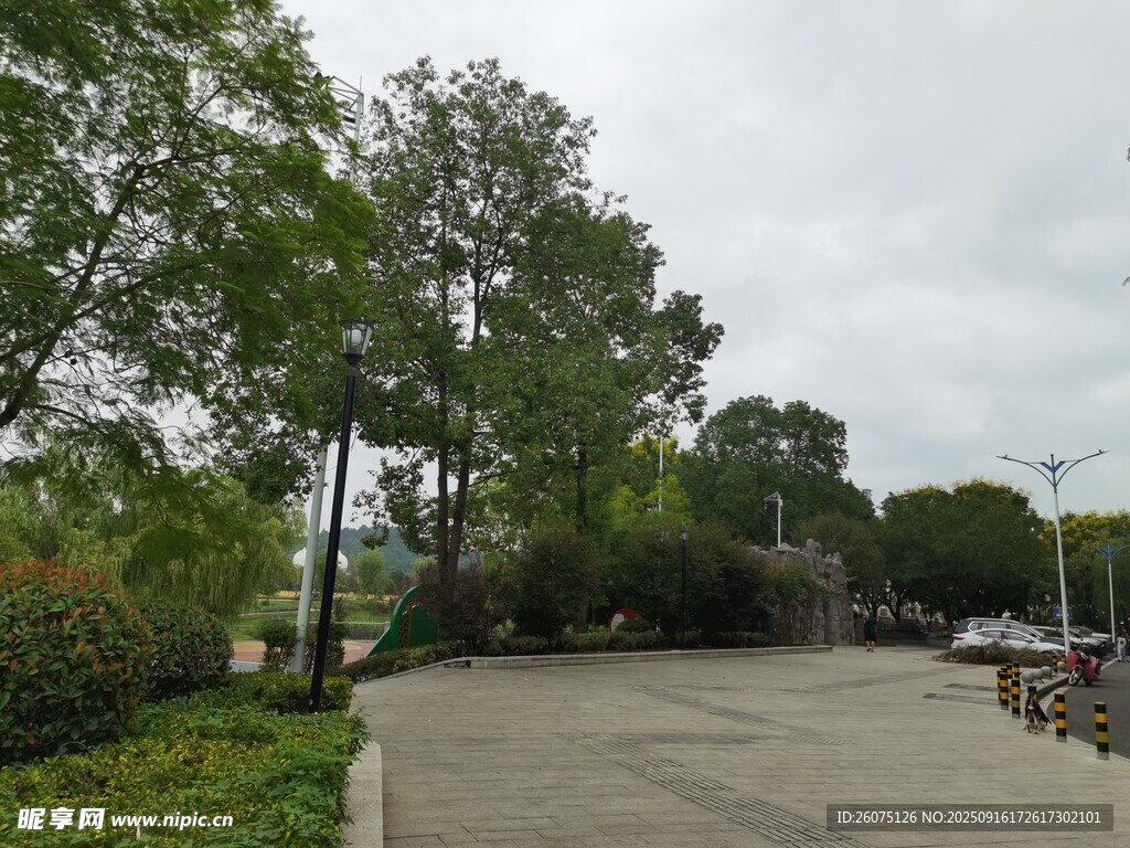 公園林蔭下的開闊道路