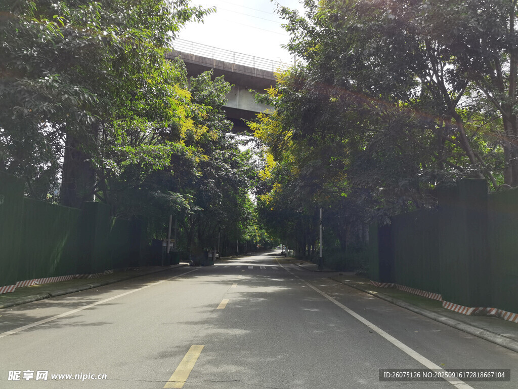 林蔭遮蔽的靜謐道路