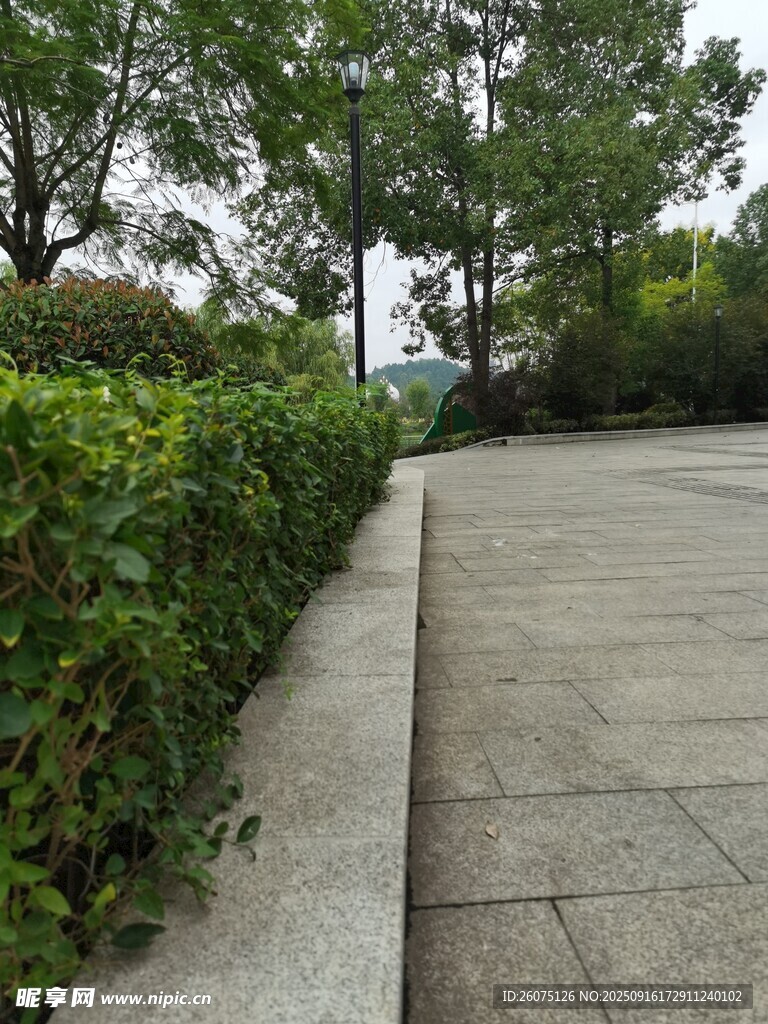 林蔭旁的整潔步道