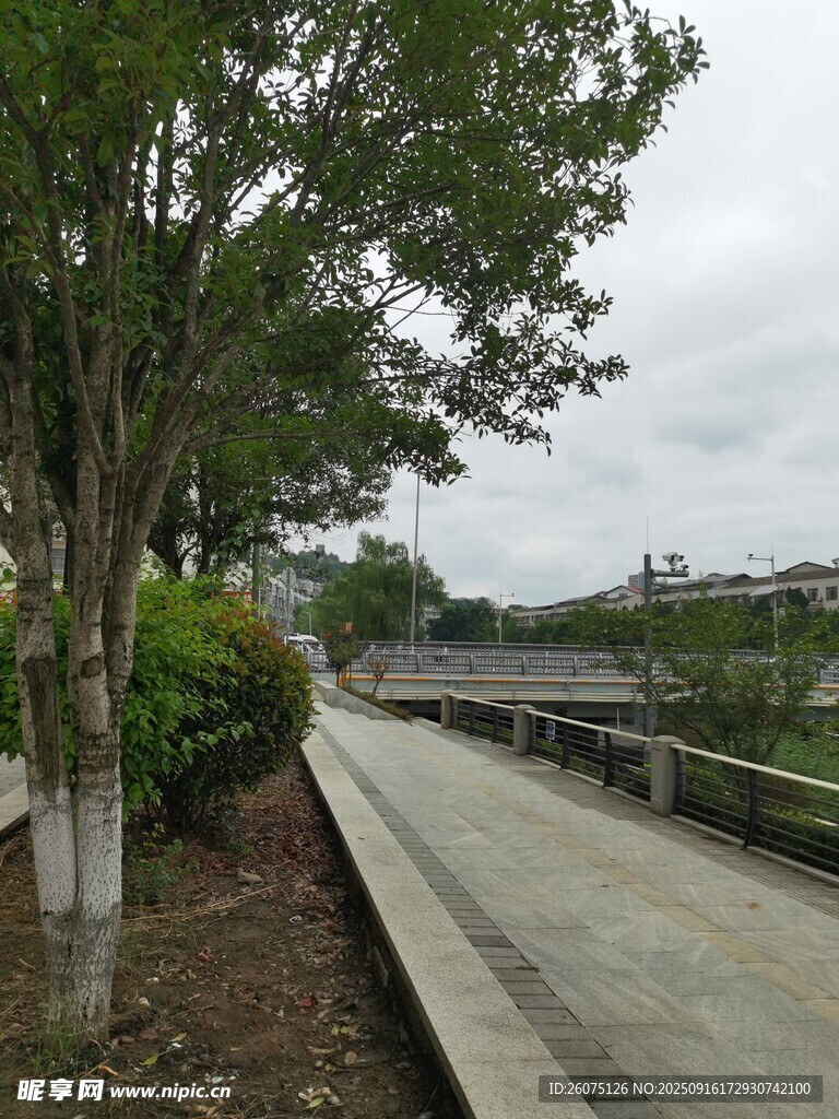 林蔭步道戶外景致