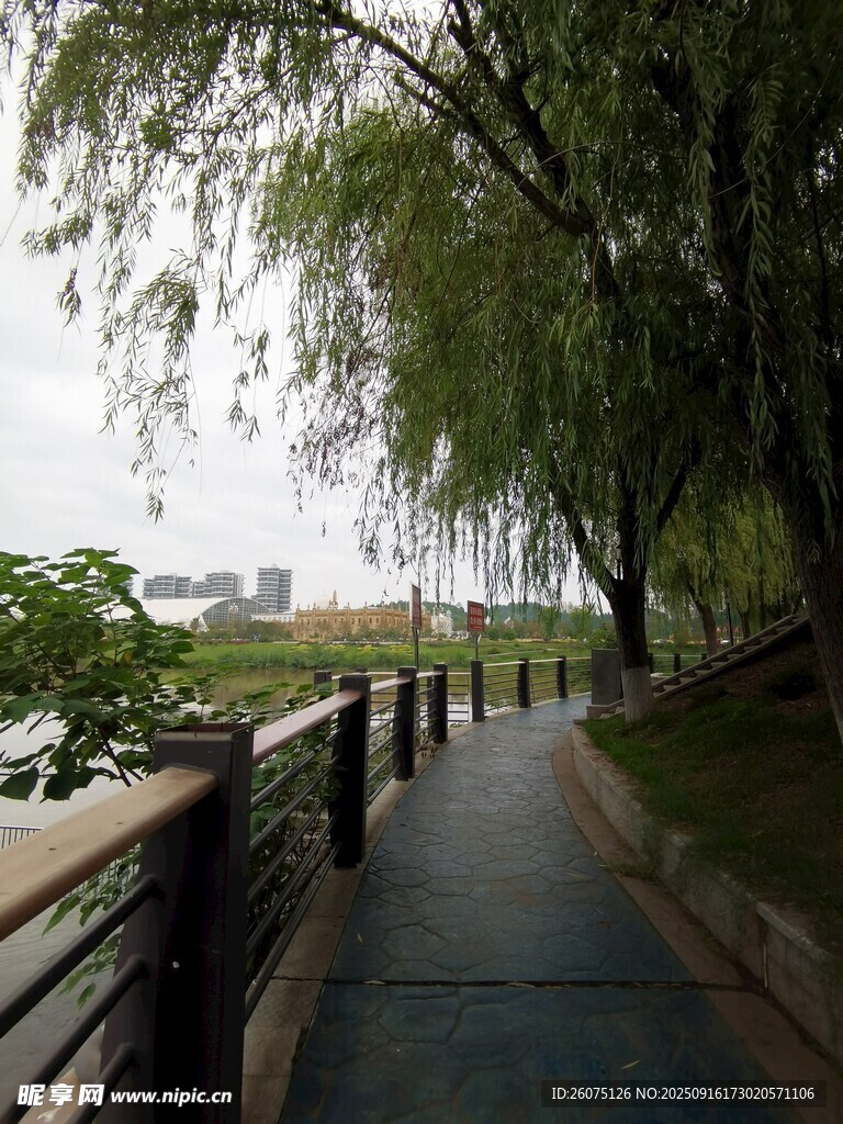 河畔垂柳下的幽靜步道