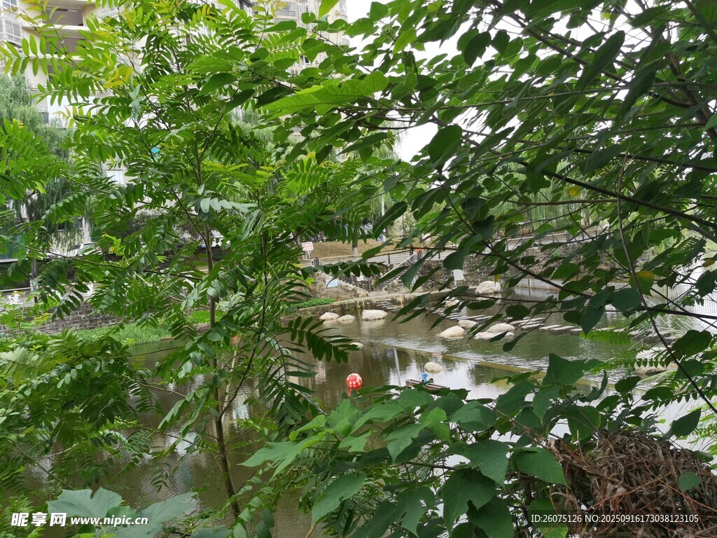 綠葉掩映下的靜謐景致