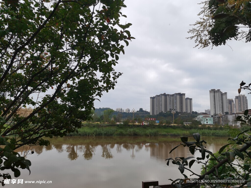 河畔綠樹與遠(yuǎn)處高樓景觀