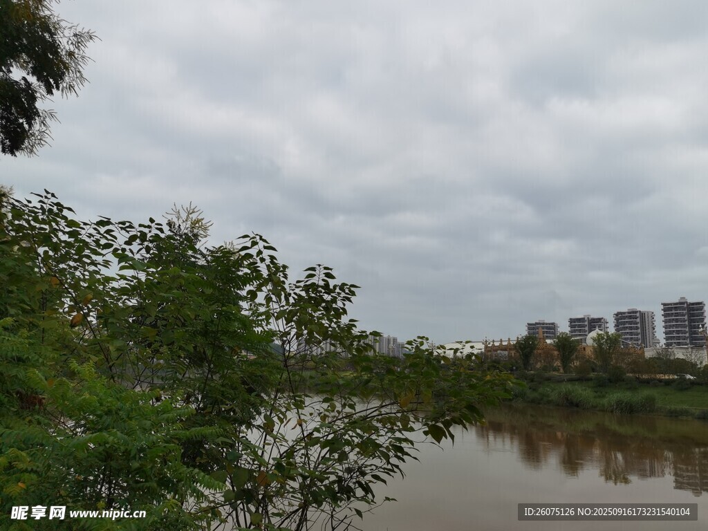 河畔綠樹(shù)與遠(yuǎn)處城市景觀