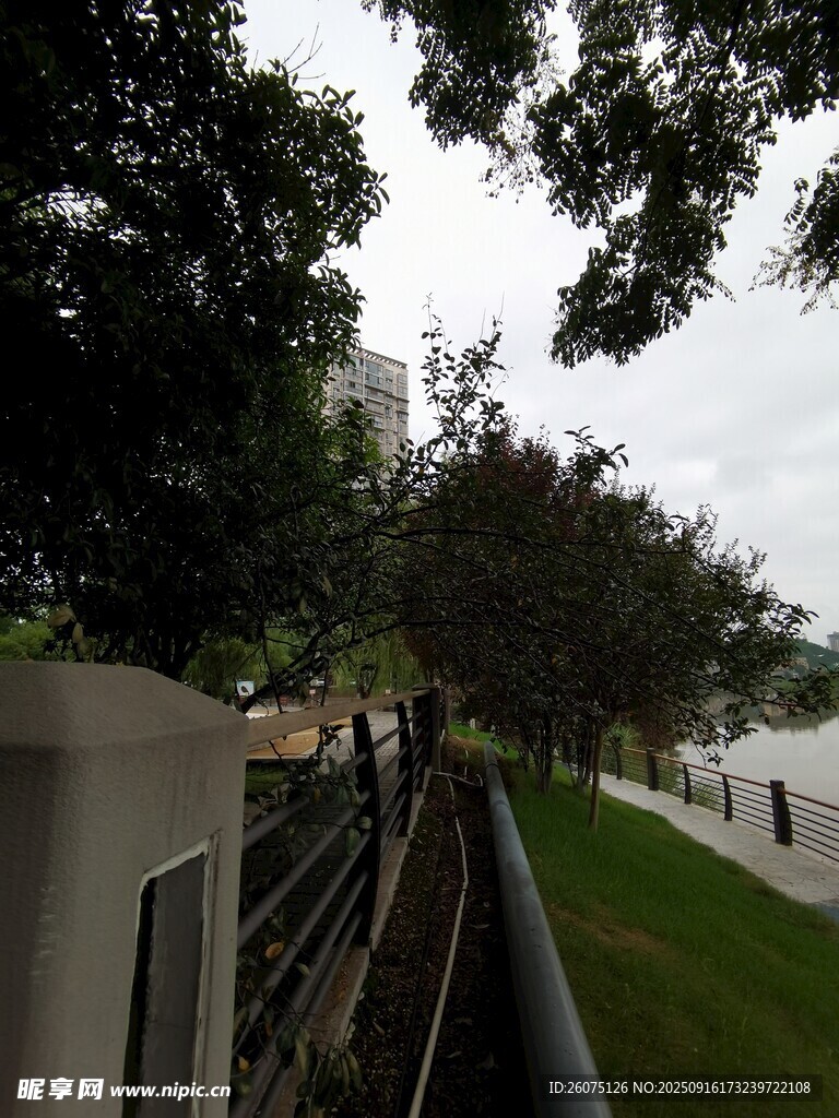 城市公園中的綠植與欄桿