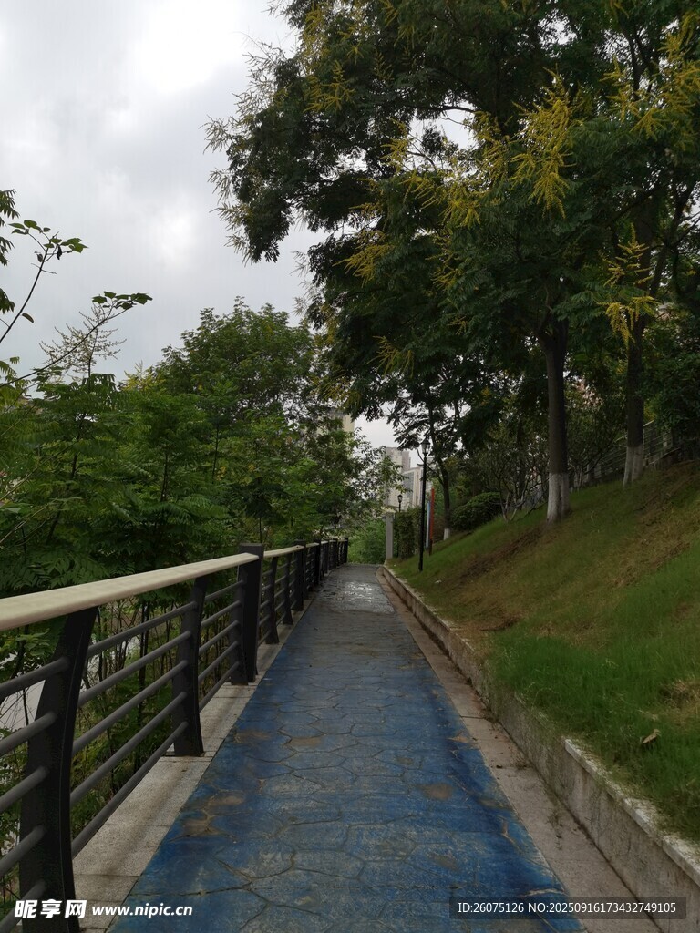 林間藍(lán)色步道風(fēng)景宜人
