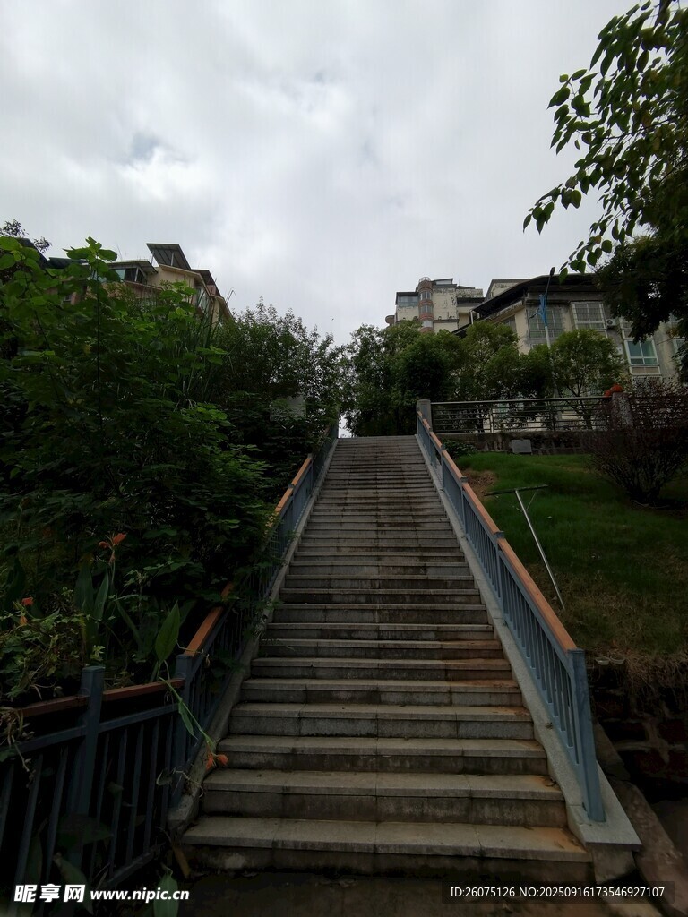林間木梯蜿蜒通向上方