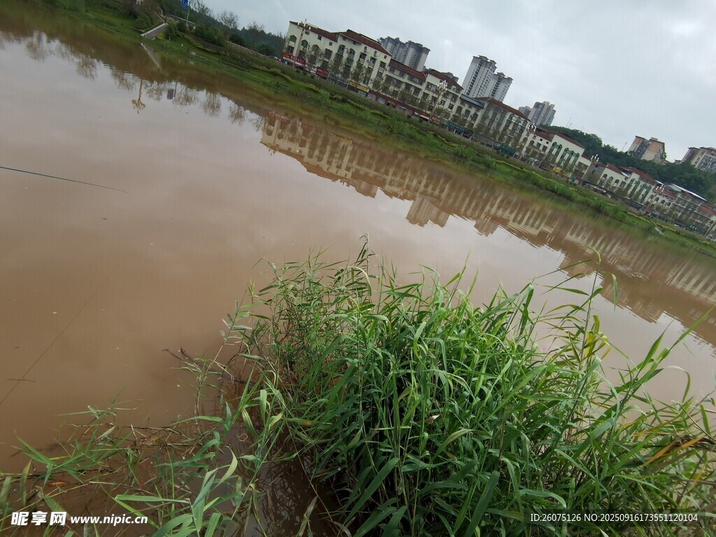 渾濁河水邊的綠植與建筑