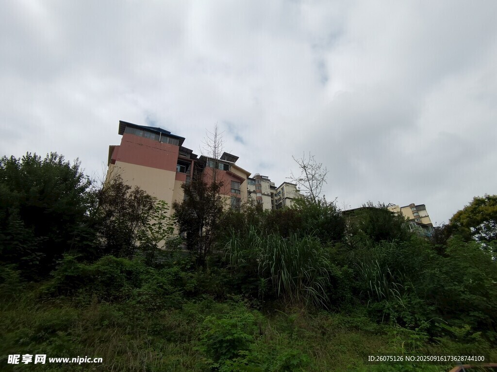山坡上的建筑與綠植