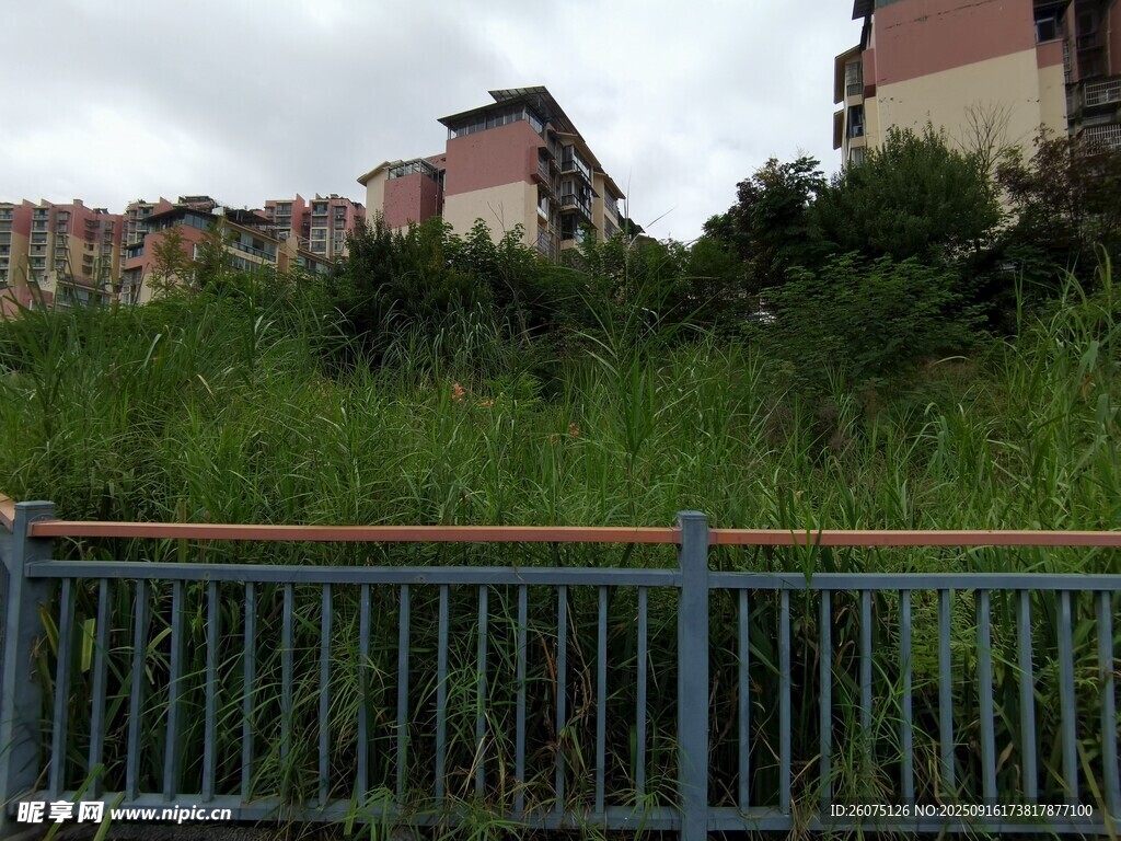 圍欄后的繁茂綠植與建筑