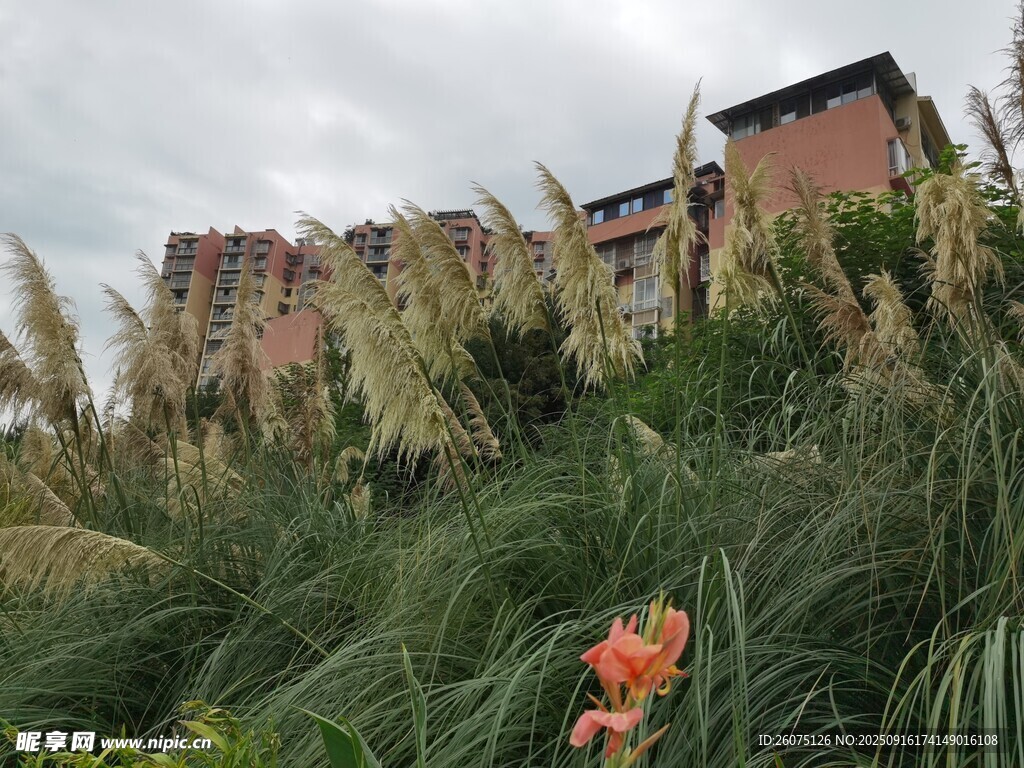 綠植旁的紅頂建筑