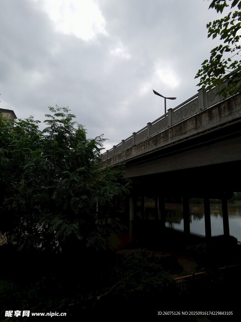 陰天樹林旁的高架橋