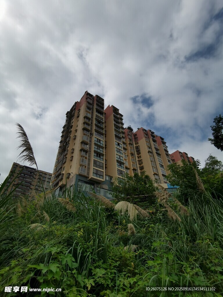 高樓矗立在綠植與云天間