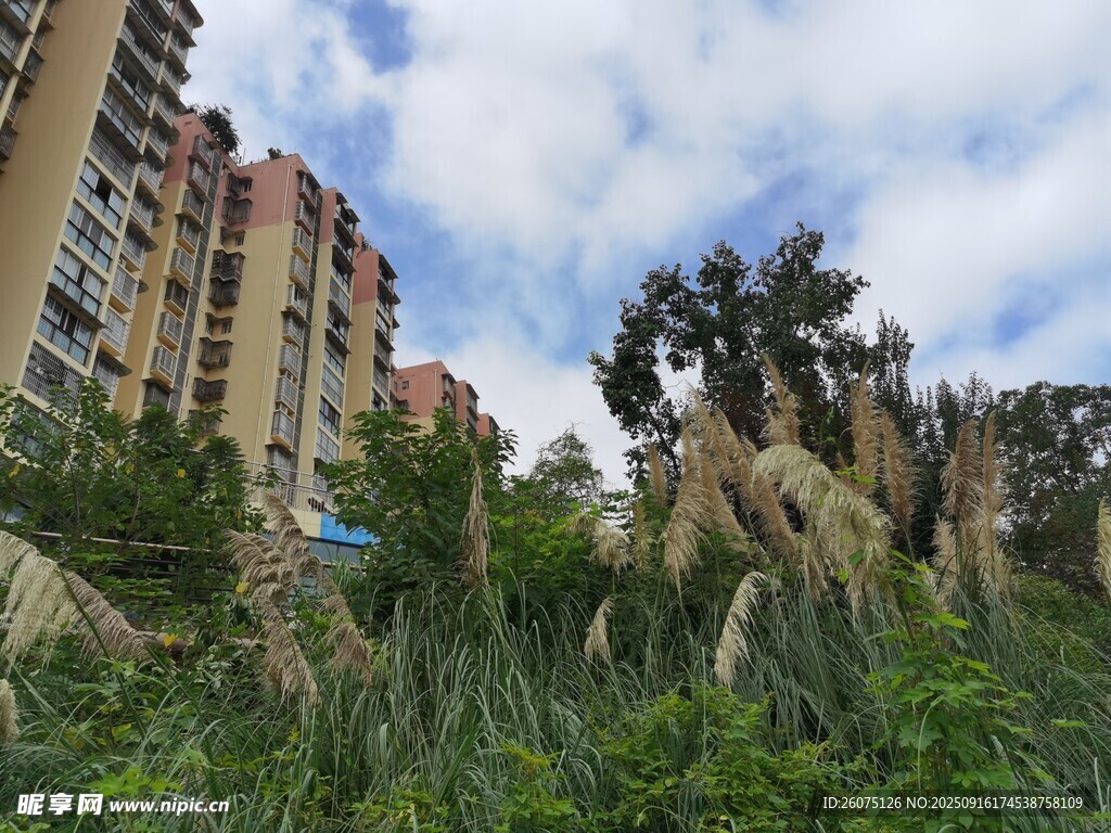 高層旁的綠植景觀