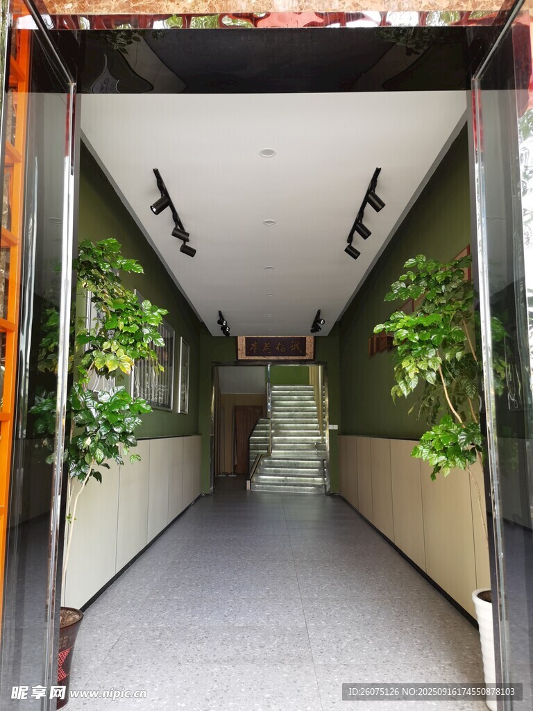 綠植裝點(diǎn)的室內(nèi)走廊空間